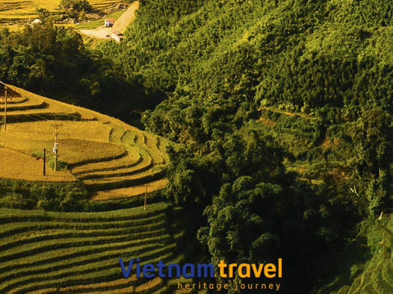 Sapa