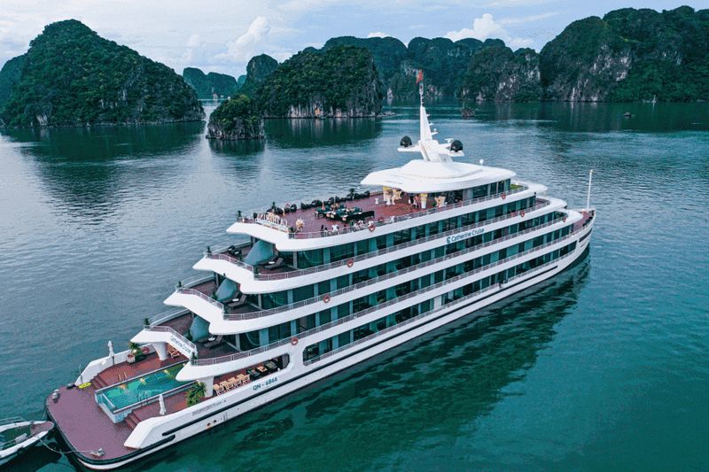 catherine-cruise