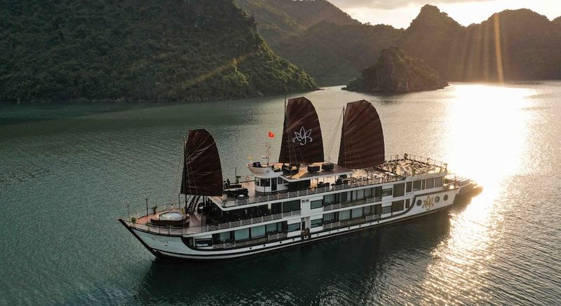 orchid-classic-cruise