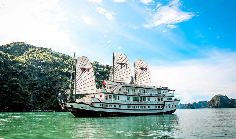 signature-cruise